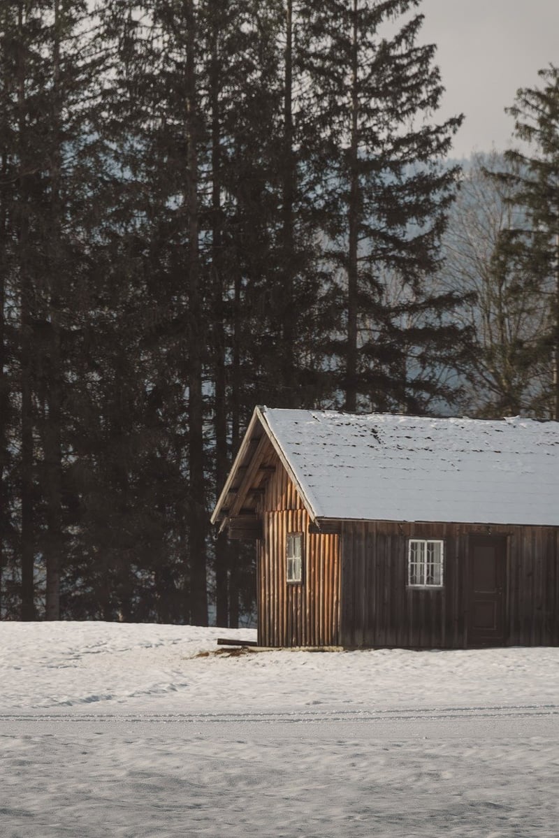 Forest retreats